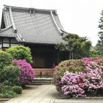 谷根千散策の際には日暮里の経王寺と延命院のつつじも見てみよう！ #地域ブログ #荒川区 #荒川区のはなし