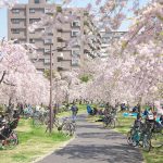 東京都荒川区にある尾久の原公園の桜が満開だったのでお花見してきた！ #地域ブログ #荒川区 #Locketsリレー2018春