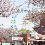 東京都荒川区にある「あらかわ遊園」内のお勧め桜スポット3選 #地域ブログ #荒川区 #Locketsリレー2018春
