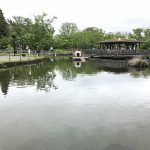 荒川自然公園内にある白鳥の池は荒川区の形に似ている!? 