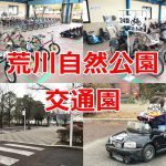 荒川自然公園内の交通園の利用方法について（豆自動車や三輪車もあるので1歳児でも楽しめます） 
