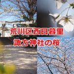 西日暮里の諏方神社の厳かな空気の中でゆったり桜を見よう  #桜