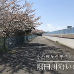 【荒川区の動画】小台橋からあらかわ遊園にかけての隅田川沿いの桜  #荒川区の動画