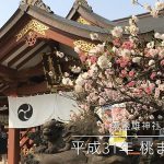 【荒川区の動画】南千住の素盞雄神社（すさのおじんじゃ）で開催された平成31年（2019年）の桃まつり 