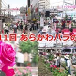 2019年5月18日（土）に開催された第11回 あらかわバラの市レポート 
