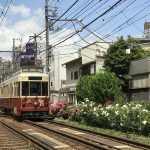 2019年5月7日（火）から31日（金）まで東京さくらトラム（都電荒川線）にて都電バラ号が運行 