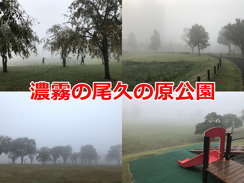 2019年10月30日(水)、濃霧の尾久の原公園 