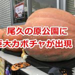 尾久の原公園に巨大カボチャが出現中！ハロウィン衣装で撮影もできますよ 