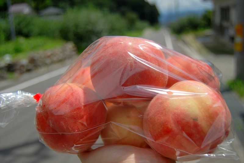 東京都荒川区の交流都市・福島市の桃が事前予約販売されます