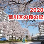 2020年の荒川区内の桜はこんなにも美しかったことを記録にも記憶にも残しておこう