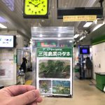 江戸・東京の伝統野菜 三河島菜のタネが常磐線の三河島駅で配布中