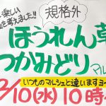 2021年2月10日（水）、東尾久の鈴木商店で「ほうれん草 つかみどりマルシェ」が開催！廃棄予定だった規格外のほうれん草が提供されます
