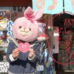 東尾久にあるはなクマおもちゃ店でバレンタインスペシャル企画！2021年2月13日（土）14日（日）に買い物をした方に素敵なプレゼントがあります