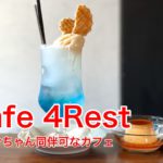 町屋駅近くにあるワンちゃん同伴可なカフェ「cafe 4Rest」を動画で紹介