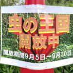 秋の虫がいっぱいいる！尾久の原公園の「虫の王国」が2021年9月30日（木）まで開放中