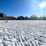 荒川区内に雪原が出現！尾久の原公園の雪国のような景色をレポート