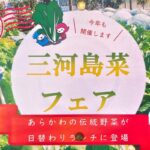 11月14日（月）から18日（金）まで、荒川区役所内の「レストランさくら」で三河島菜フェアが開催