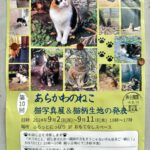 9月2日（月）から11日（水）まで、ふらっとにっぽりにて「第10回あらかわのねこ 猫写真展＆猫柄生地の発表」が開催