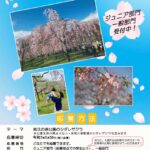 和7年「尾久の原公園シダレザクラのある風景」写真コンクールの作品が募集中