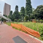 荒川区役所前の明治通り沿いにあった木造長屋が全て撤去され更地になっていた